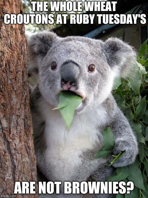 Surprised Koala | THE WHOLE WHEAT CROUTONS AT RUBY TUESDAY'S; ARE NOT BROWNIES? | image tagged in memes,surprised koala | made w/ Imgflip meme maker