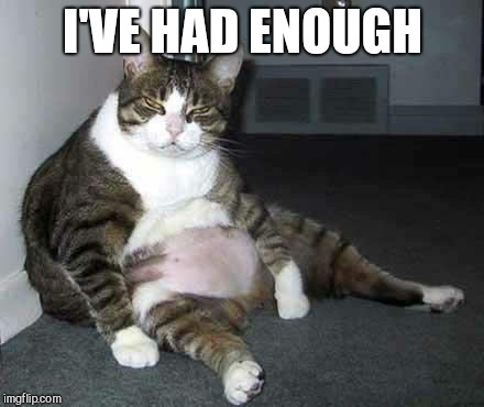 Fat cat | I'VE HAD ENOUGH | image tagged in fat cat | made w/ Imgflip meme maker