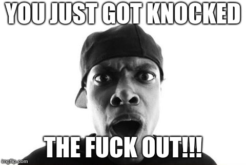 YOU JUST GOT KNOCKED THE F**K OUT!!! | image tagged in you got knocked out | made w/ Imgflip meme maker