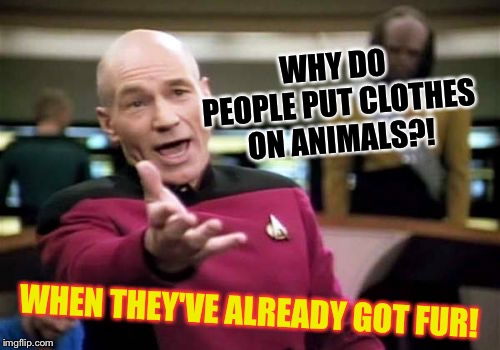 Picard Wtf Meme | WHY DO PEOPLE PUT CLOTHES ON ANIMALS?! WHEN THEY'VE ALREADY GOT FUR! | image tagged in memes,picard wtf | made w/ Imgflip meme maker
