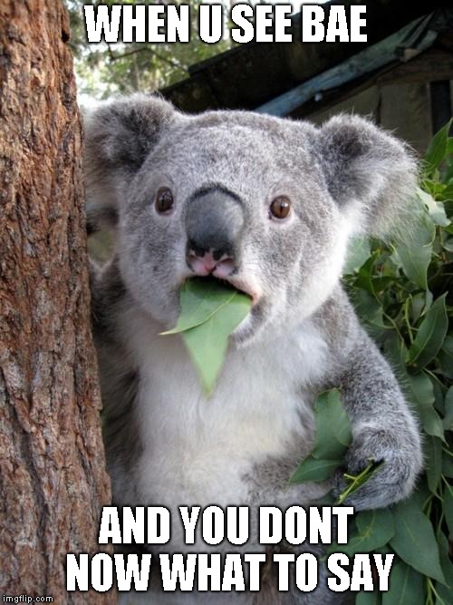 Surprised Koala | WHEN U SEE BAE; AND YOU DONT NOW WHAT TO SAY | image tagged in memes,surprised koala | made w/ Imgflip meme maker