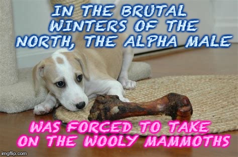 IN THE BRUTAL WINTERS OF THE NORTH, THE ALPHA MALE WAS FORCED TO TAKE ON THE WOOLY MAMMOTHS | made w/ Imgflip meme maker