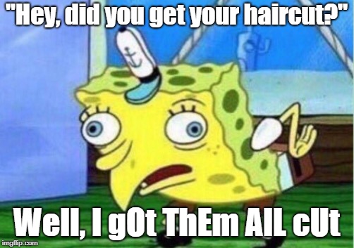 Mocking Spongebob | "Hey, did you get your haircut?"; Well, I gOt ThEm AlL cUt | image tagged in memes,mocking spongebob | made w/ Imgflip meme maker