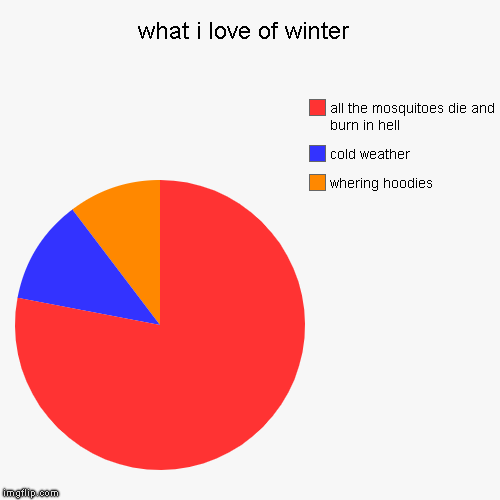 what i love of winter  | whering hoodies , cold weather, all the mosquitoes die and burn in hell | image tagged in funny,pie charts | made w/ Imgflip chart maker