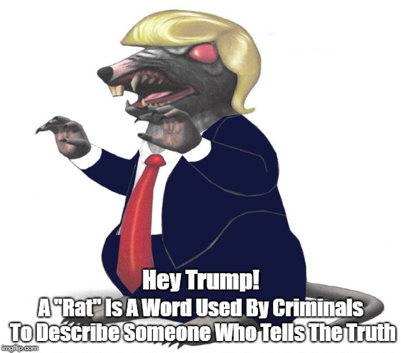 Hey Trump! A "Rat" Is A Word Used By Criminals To Describe Someone Who Tells The Truth | made w/ Imgflip meme maker