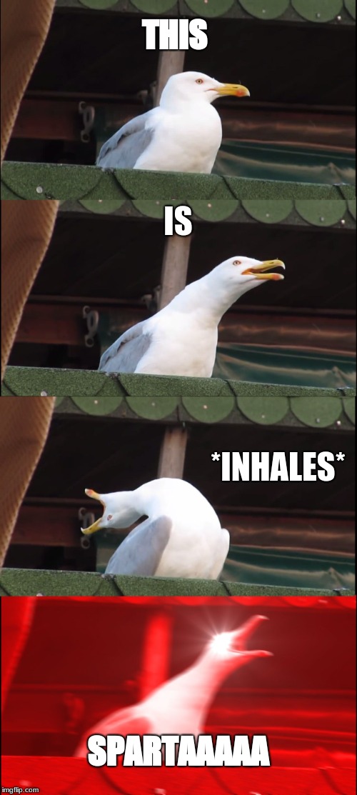Inhaling Seagull Meme | THIS; IS; *INHALES*; SPARTAAAAA | image tagged in memes,inhaling seagull | made w/ Imgflip meme maker
