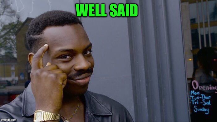 Roll Safe Think About It Meme | WELL SAID | image tagged in memes,roll safe think about it | made w/ Imgflip meme maker
