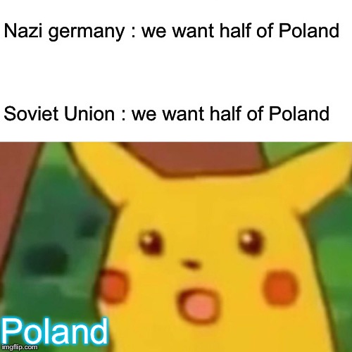 Surprised Pikachu Meme | Nazi germany : we want half of Poland Soviet Union : we want half of Poland Poland | image tagged in memes,surprised pikachu | made w/ Imgflip meme maker