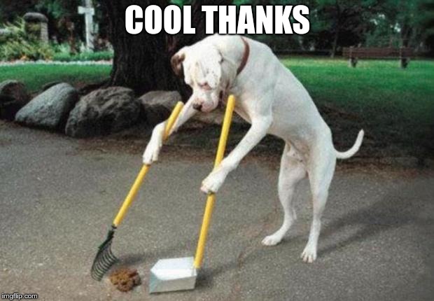 Dog poop | COOL THANKS | image tagged in dog poop | made w/ Imgflip meme maker