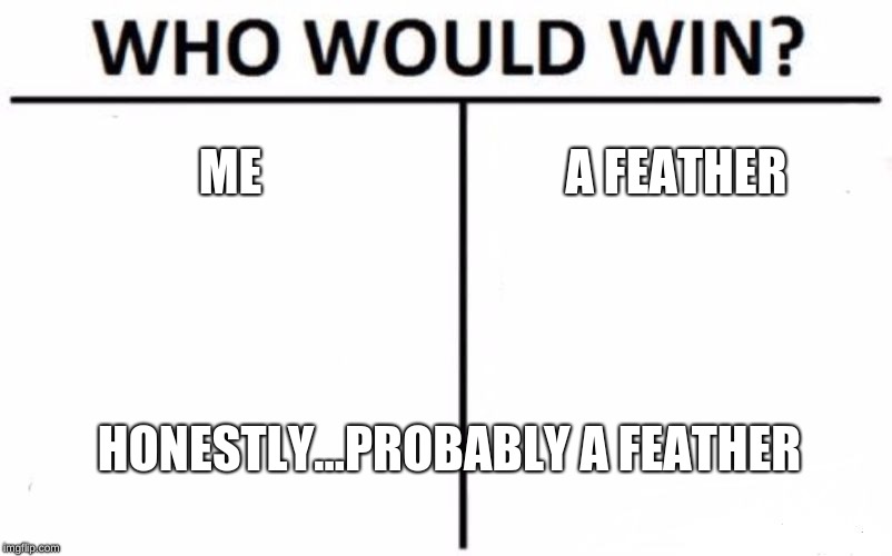 Who Would Win? | ME; A FEATHER; HONESTLY...PROBABLY A FEATHER | image tagged in memes,who would win | made w/ Imgflip meme maker