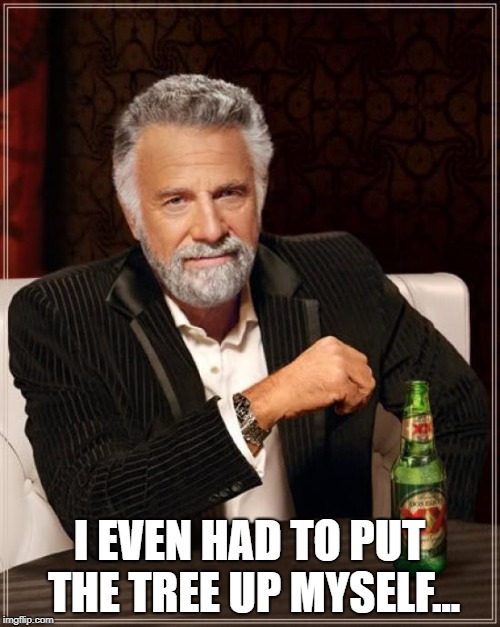 The Most Interesting Man In The World Meme | I EVEN HAD TO PUT THE TREE UP MYSELF... | image tagged in memes,the most interesting man in the world | made w/ Imgflip meme maker