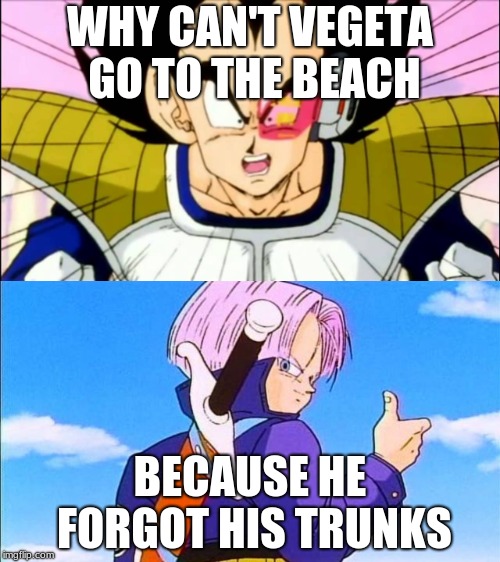 WHY CAN'T VEGETA GO TO THE BEACH; BECAUSE HE FORGOT HIS TRUNKS | image tagged in vegeta,future trunks | made w/ Imgflip meme maker