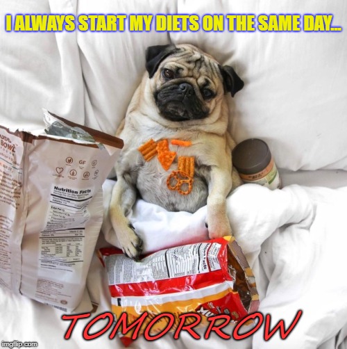 It's Not The Next Day Yet | I ALWAYS START MY DIETS ON THE SAME DAY... TOMORROW | image tagged in funny,junk food,lazy | made w/ Imgflip meme maker