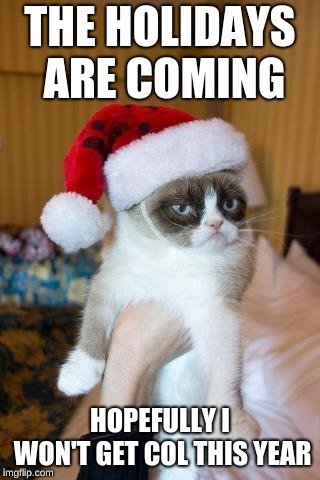 Grumpy Cat Christmas | THE HOLIDAYS ARE COMING; HOPEFULLY I WON'T GET COL THIS YEAR | image tagged in memes,grumpy cat christmas,grumpy cat | made w/ Imgflip meme maker