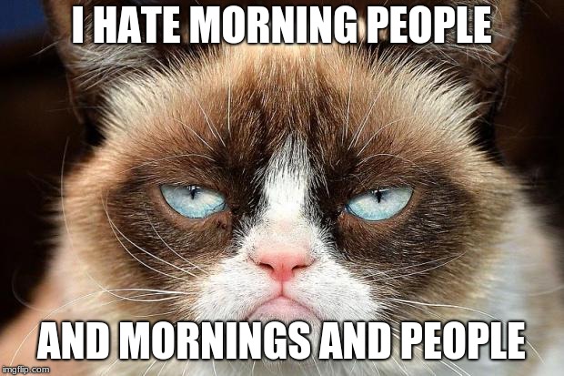 Grumpy Cat Not Amused Meme | I HATE MORNING PEOPLE; AND MORNINGS AND PEOPLE | image tagged in memes,grumpy cat not amused,grumpy cat | made w/ Imgflip meme maker