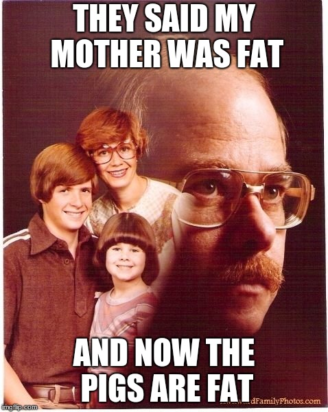Vengeance Dad | THEY SAID MY MOTHER WAS FAT; AND NOW THE PIGS ARE FAT | image tagged in memes,vengeance dad | made w/ Imgflip meme maker