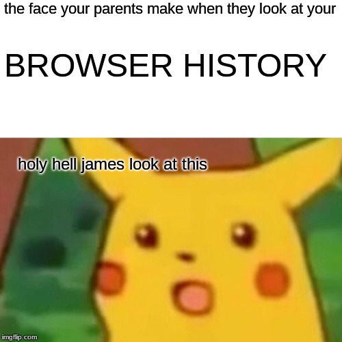 Surprised Pikachu | the face your parents make when they look at your; BROWSER HISTORY; holy hell james look at this | image tagged in memes,surprised pikachu | made w/ Imgflip meme maker
