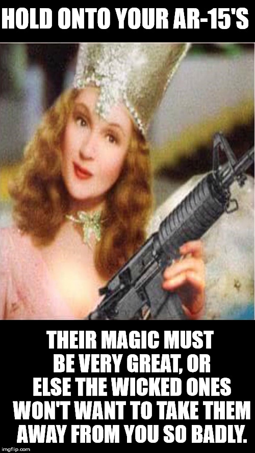 HOLD ONTO YOUR AR-15'S; THEIR MAGIC MUST BE VERY GREAT, OR ELSE THE WICKED ONES WON'T WANT TO TAKE THEM AWAY FROM YOU SO BADLY. | image tagged in good witch,ar-15 | made w/ Imgflip meme maker