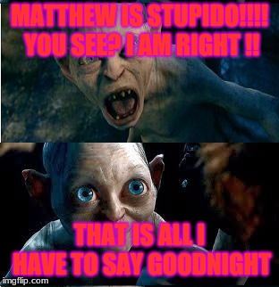 Gollum-Smeagol | MATTHEW IS STUPIDO!!!! YOU SEE? I AM RIGHT !! THAT IS ALL I HAVE TO SAY GOODNIGHT | image tagged in gollum-smeagol | made w/ Imgflip meme maker