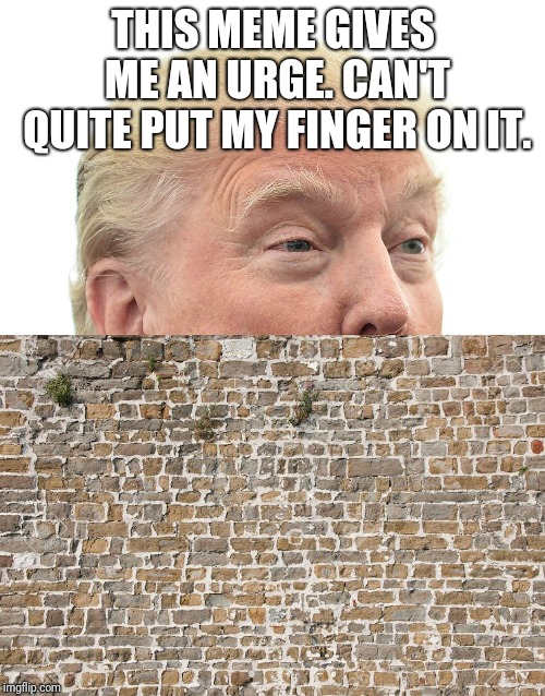Trump Wall | THIS MEME GIVES ME AN URGE. CAN'T QUITE PUT MY FINGER ON IT. | image tagged in trump wall | made w/ Imgflip meme maker