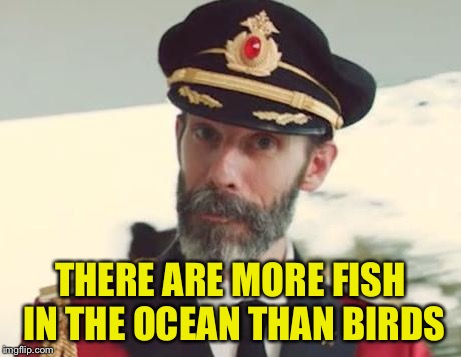 Captain Obvious | THERE ARE MORE FISH IN THE OCEAN THAN BIRDS | image tagged in captain obvious | made w/ Imgflip meme maker