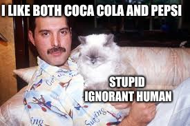 Freddie and his cat | I LIKE BOTH COCA COLA AND PEPSI; STUPID IGNORANT HUMAN | image tagged in cats,memes,funny,freddie mercury,queen,soda | made w/ Imgflip meme maker