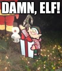 Christmas Joy | DAMN, ELF! | image tagged in elf | made w/ Imgflip meme maker