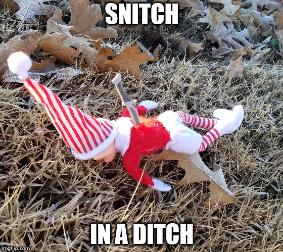 Snitch in a Ditch | SNITCH; IN A DITCH | image tagged in elf on a shelf | made w/ Imgflip meme maker
