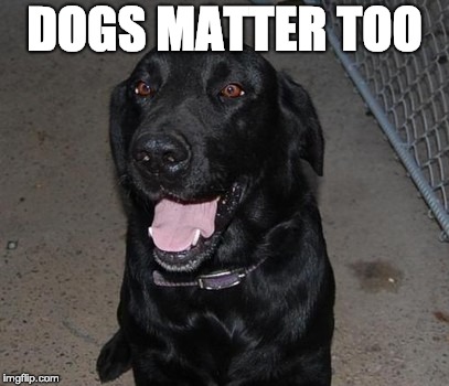 Black Labs Matter | DOGS MATTER TOO | image tagged in black labs matter | made w/ Imgflip meme maker