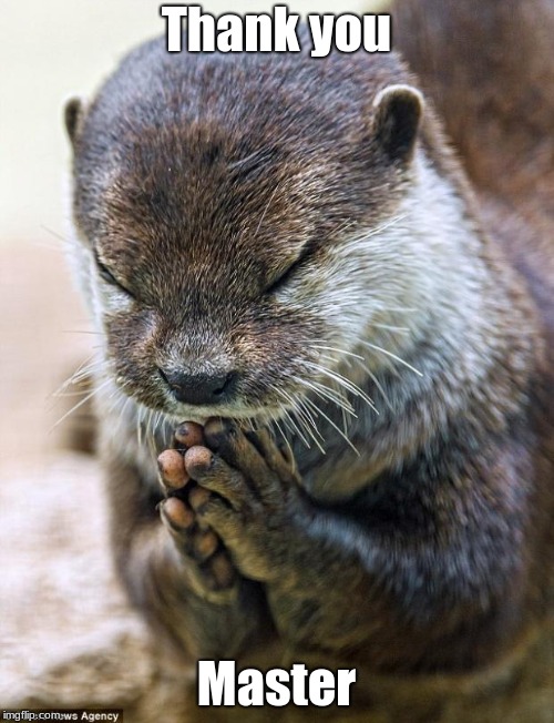 Thank you Master | image tagged in thank you lord otter | made w/ Imgflip meme maker