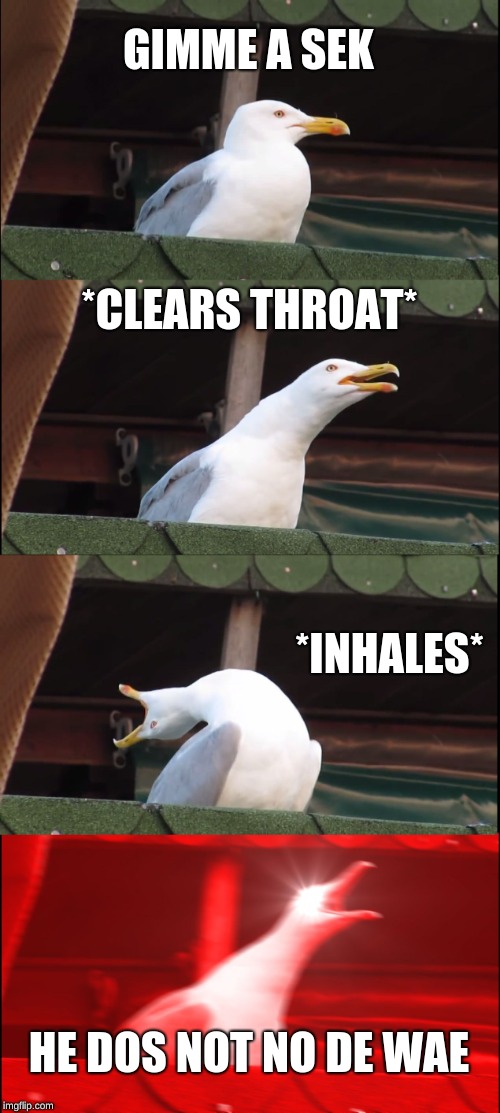 Inhaling Seagull Meme | GIMME A SEK; *CLEARS THROAT*; *INHALES*; HE DOS NOT NO DE WAE | image tagged in memes,inhaling seagull | made w/ Imgflip meme maker