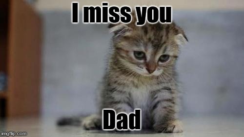 Sad kitten | I miss you Dad | image tagged in sad kitten | made w/ Imgflip meme maker