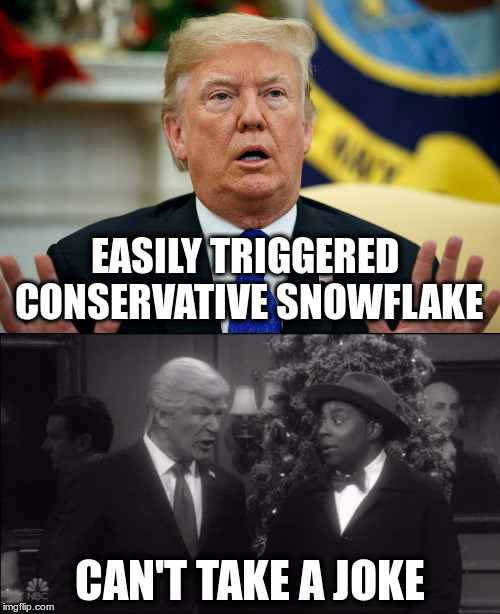 Maybe you have better things to worry about Mr.President? | EASILY TRIGGERED CONSERVATIVE SNOWFLAKE; CAN'T TAKE A JOKE | image tagged in trump,humor,snl,triggered,conservative snowflake | made w/ Imgflip meme maker