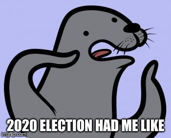 Homophobic Seal | 2020 ELECTION HAD ME LIKE | image tagged in memes,homophobic seal | made w/ Imgflip meme maker