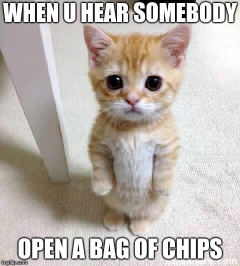 Cute Cat Meme | WHEN U HEAR SOMEBODY; OPEN A BAG OF CHIPS | image tagged in memes,cute cat | made w/ Imgflip meme maker