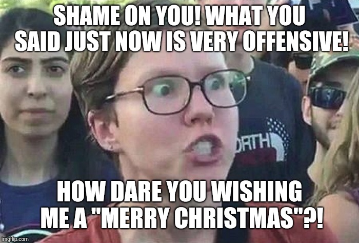 Triggered Liberal | SHAME ON YOU! WHAT YOU SAID JUST NOW IS VERY OFFENSIVE! HOW DARE YOU WISHING ME A "MERRY CHRISTMAS"?! | image tagged in triggered liberal | made w/ Imgflip meme maker
