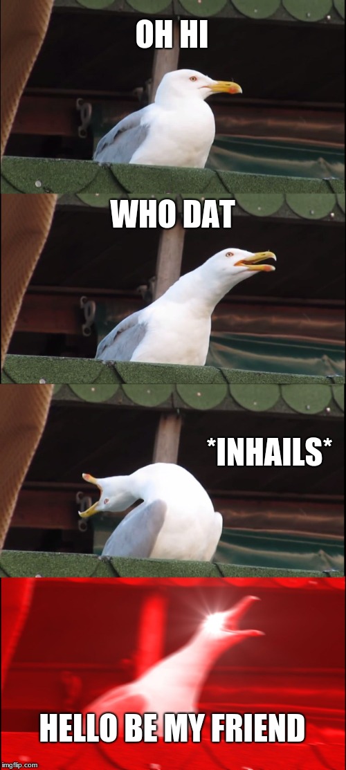 Inhaling Seagull | OH HI; WHO DAT; *INHAILS*; HELLO BE MY FRIEND | image tagged in memes,inhaling seagull | made w/ Imgflip meme maker