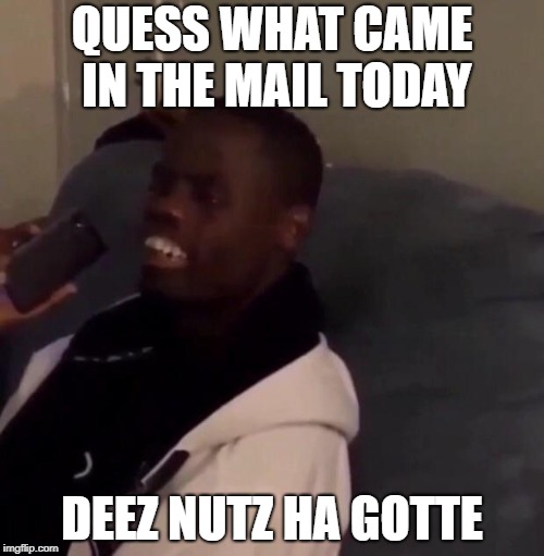 Deez Nutz | QUESS WHAT CAME IN THE MAIL TODAY; DEEZ NUTZ HA GOTTE | image tagged in deez nutz | made w/ Imgflip meme maker