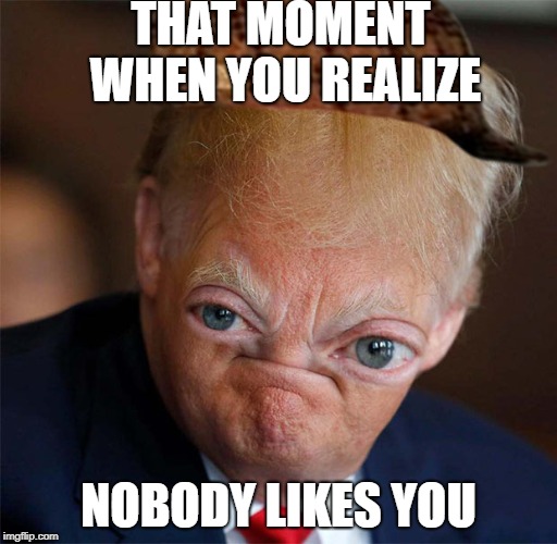 Waw noice very noice | THAT MOMENT WHEN YOU REALIZE; NOBODY LIKES YOU | image tagged in waw noice very noice,scumbag | made w/ Imgflip meme maker