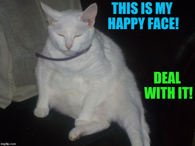 Happy cat! | THIS IS MY HAPPY FACE! DEAL WITH IT! | image tagged in snowball,cats | made w/ Imgflip meme maker