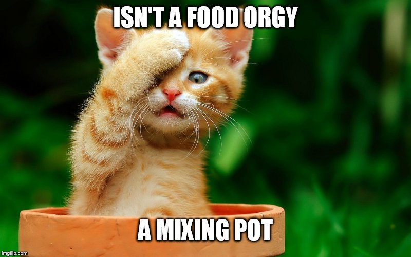 I JUST REALIZED | ISN'T A FOOD ORGY A MIXING POT | image tagged in i just realized | made w/ Imgflip meme maker
