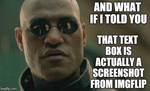 Matrix Morpheus Meme | AND WHAT IF I TOLD YOU THAT TEXT BOX IS ACTUALLY A SCREENSHOT FROM IMGFLIP | image tagged in memes,matrix morpheus | made w/ Imgflip meme maker