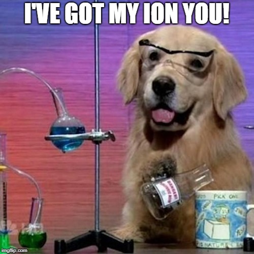 I Have No Idea What I Am Doing Dog Meme | I'VE GOT MY ION YOU! | image tagged in memes,i have no idea what i am doing dog | made w/ Imgflip meme maker