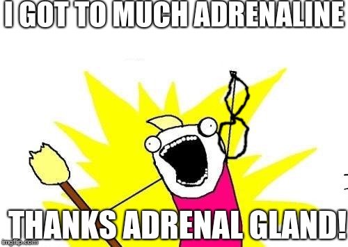 X All The Y Meme | I GOT TO MUCH ADRENALINE; THANKS ADRENAL GLAND! | image tagged in memes,x all the y | made w/ Imgflip meme maker