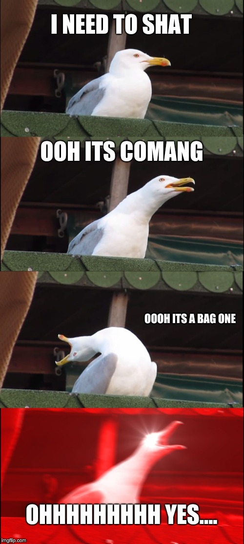 Inhaling Seagull | I NEED TO SHAT; OOH ITS COMANG; OOOH ITS A BAG ONE; OHHHHHHHHH YES.... | image tagged in memes,inhaling seagull | made w/ Imgflip meme maker