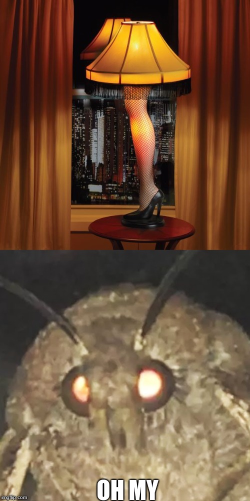 How the Moth Memes Came Along | OH MY | image tagged in moth meme,i love lamp,leg day | made w/ Imgflip meme maker