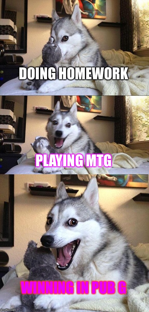 Bad Pun Dog Meme | DOING HOMEWORK; PLAYING MTG; WINNING IN PUB G | image tagged in memes,bad pun dog | made w/ Imgflip meme maker