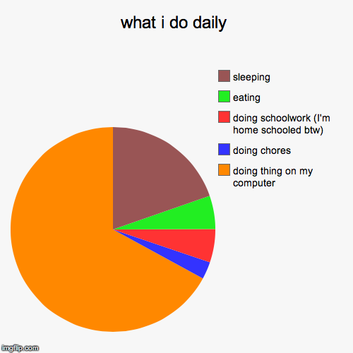 what i do daily | doing thing on my computer, doing chores, doing schoolwork (I'm home schooled btw), eating, sleeping | image tagged in funny,pie charts | made w/ Imgflip chart maker