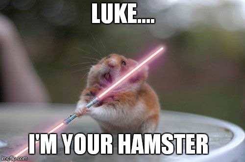 Star Wars hamster | LUKE.... I'M YOUR HAMSTER | image tagged in star wars hamster | made w/ Imgflip meme maker