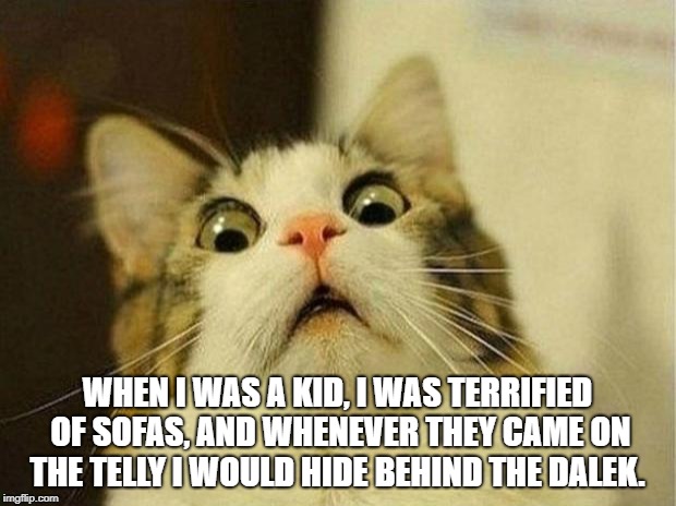 Scared Cat | WHEN I WAS A KID, I WAS TERRIFIED OF SOFAS, AND WHENEVER THEY CAME ON THE TELLY I WOULD HIDE BEHIND THE DALEK. | image tagged in memes,scared cat | made w/ Imgflip meme maker